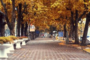 Read more about the article Autumn in Hanoi